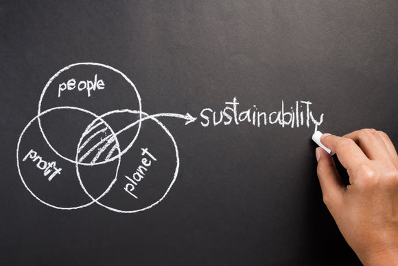 Hand drawing a diagram of people, planet, profit on a chalkboard to explain the intersection of Sustainable Development concept