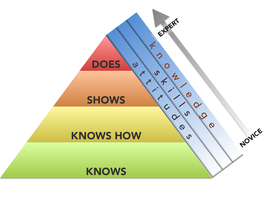 Course Training Level Blue House Energy | Blog | Training Levels Explained